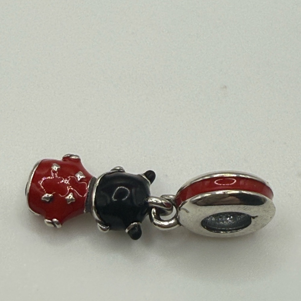 Pandora CHOICE of 1 or 2 or 3 of these Beautiful Asian Charms! CHOOSE! - Picture 12 of 13